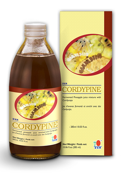 DXN Cordypine