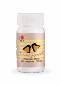 Cordyceps Capsules