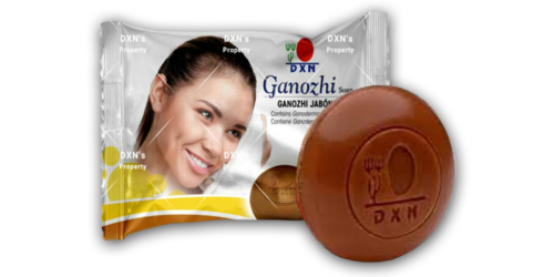 Ganozhi Soap