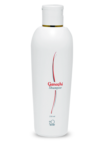 Ganozhi Shampoo