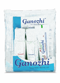 Toiletries Travel Kit